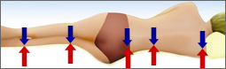 Conventional Mattress